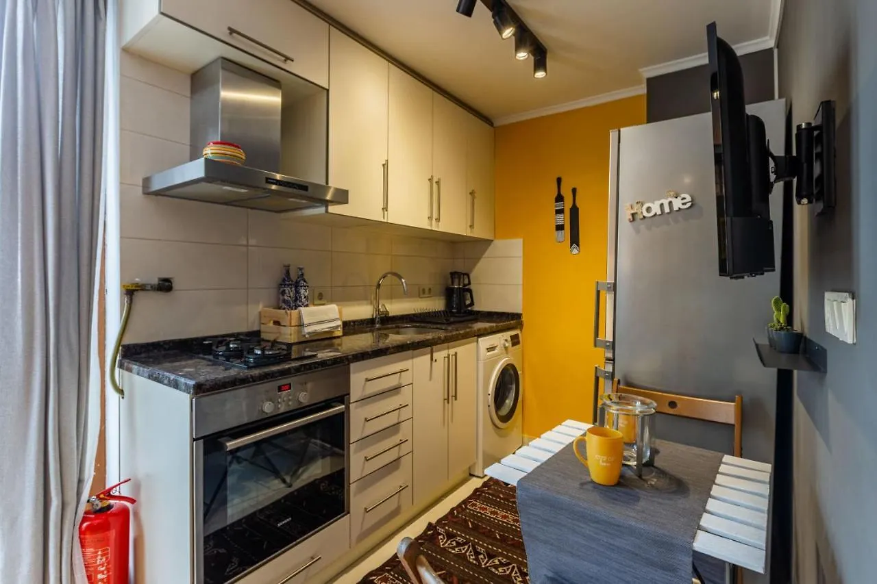 Superb Flat With City View And Terrace In Beyoglu 伊斯坦布尔 公寓