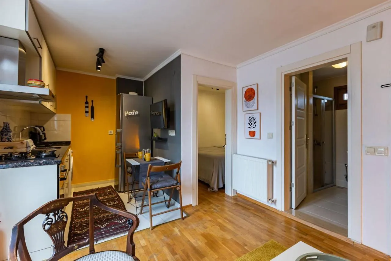 Superb Flat With City View And Terrace In Beyoglu 伊斯坦布尔 土耳其