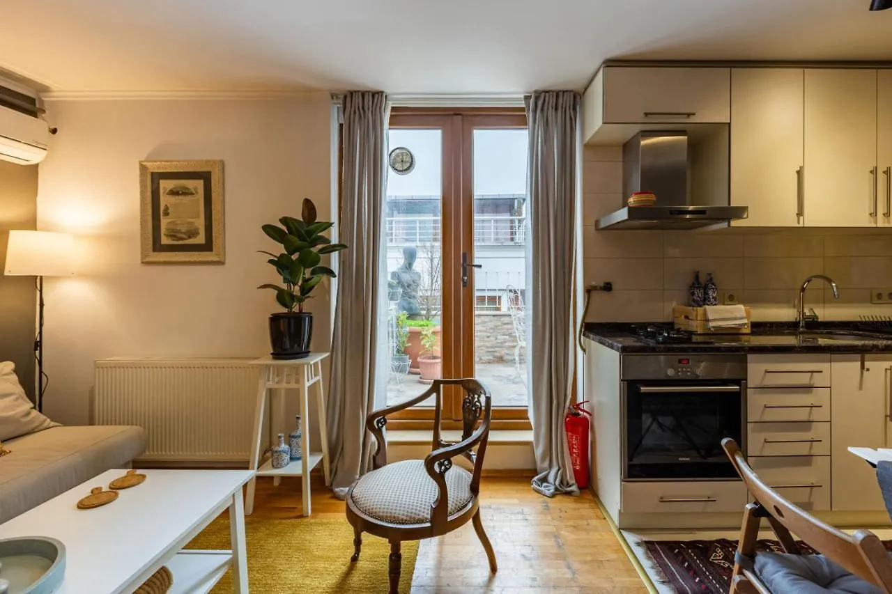 公寓 Superb Flat With City View And Terrace In Beyoglu 伊斯坦布尔 土耳其