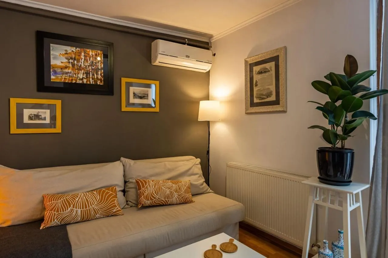 Superb Flat With City View And Terrace In Beyoglu 伊斯坦布尔