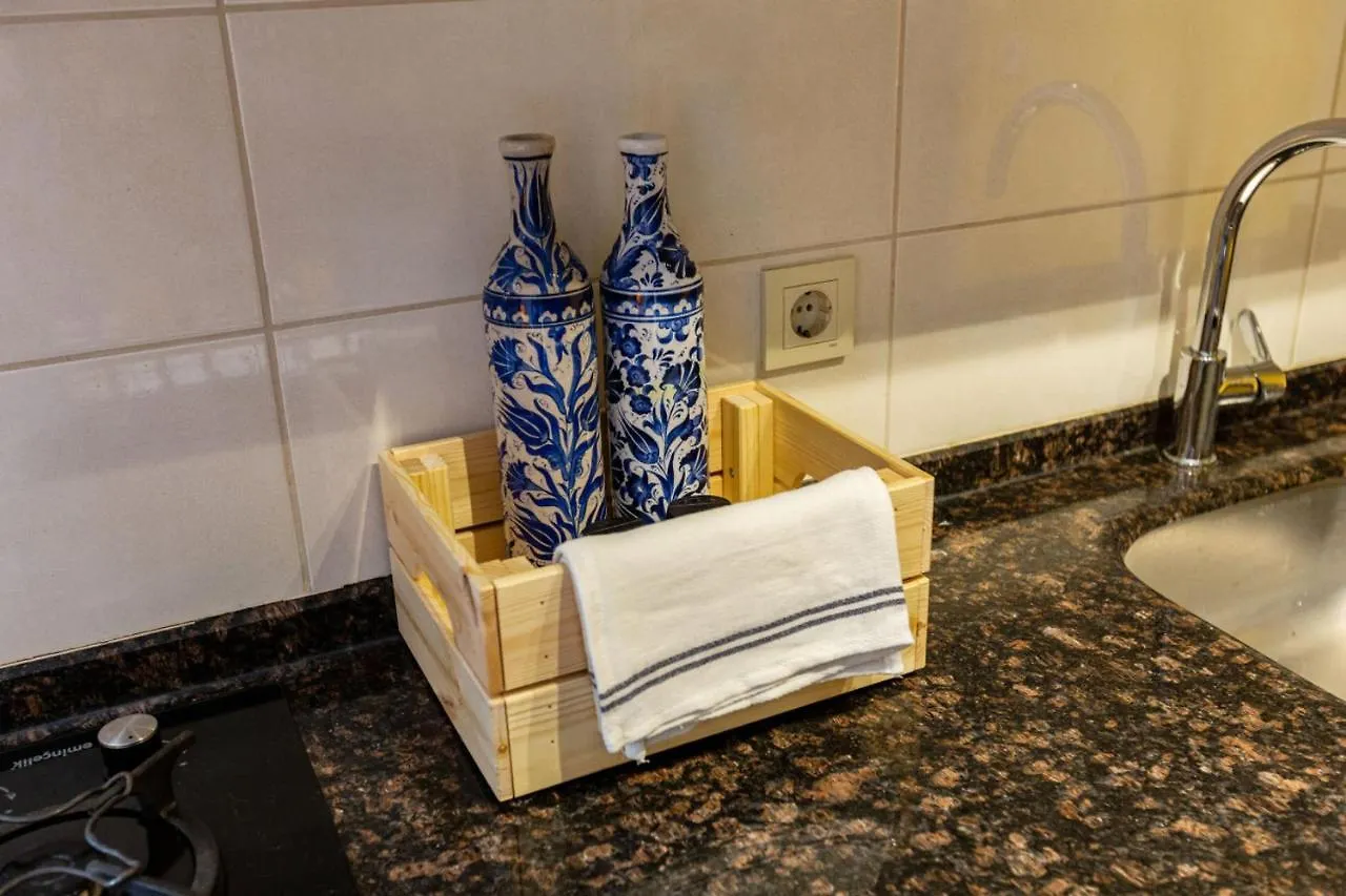 Superb Flat With City View And Terrace In Beyoglu 伊斯坦布尔