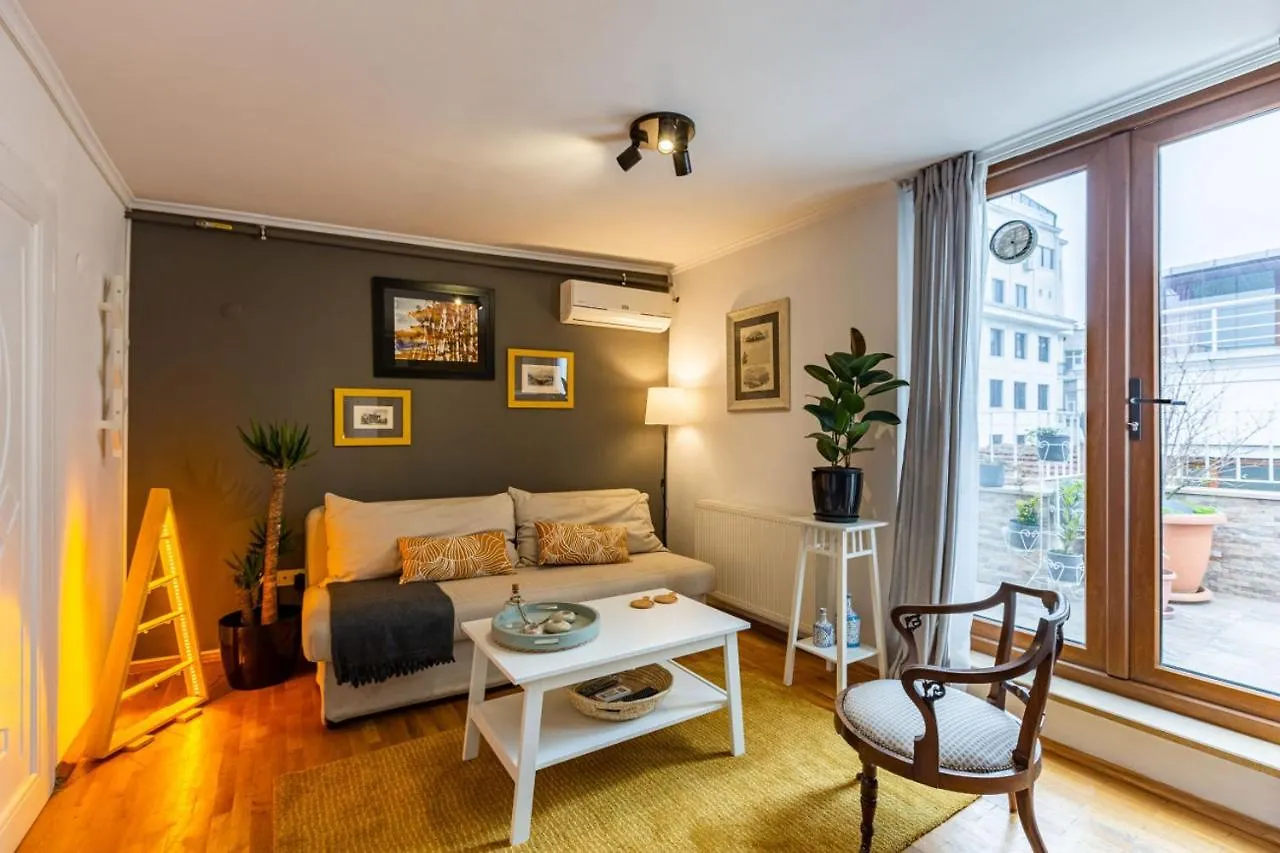 Superb Flat With City View And Terrace In Beyoglu 伊斯坦布尔 0*,