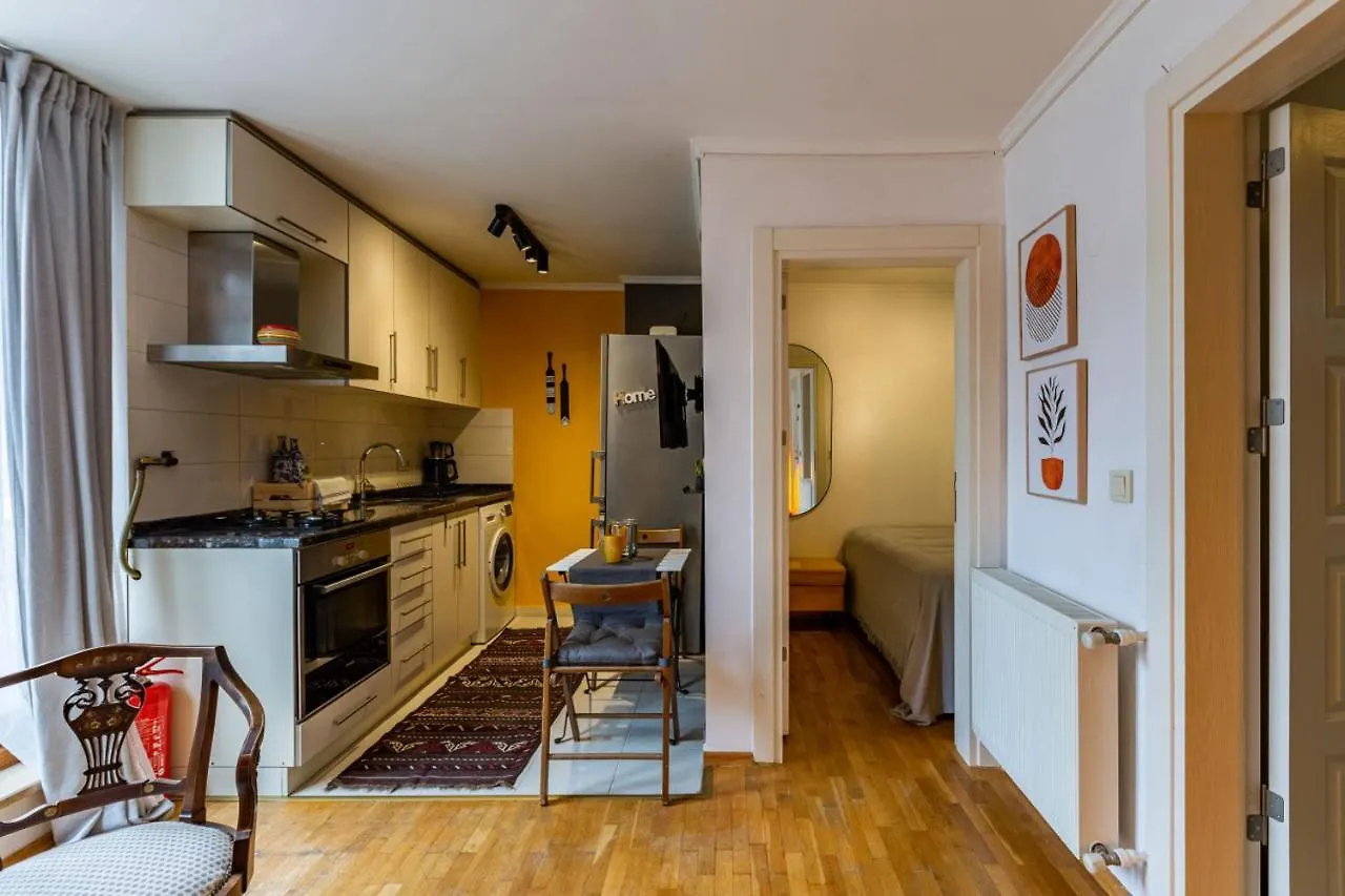 公寓 Superb Flat With City View And Terrace In Beyoglu 伊斯坦布尔